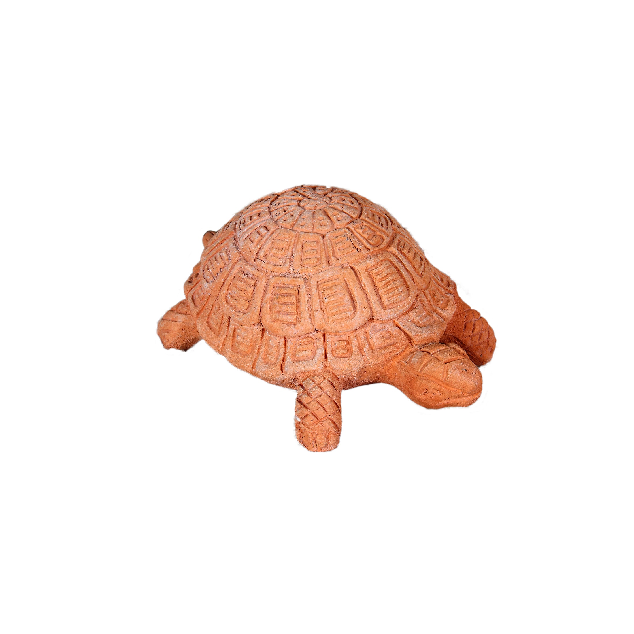 Schildkröte PICCOLA