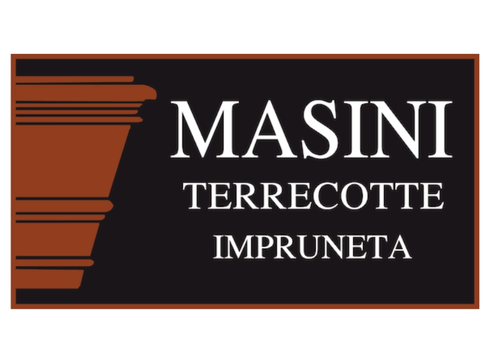 masini.webp?ts=1771926114