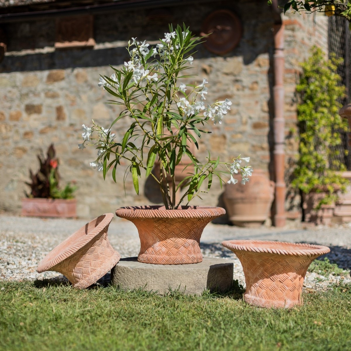 Vasetto con prugne Terracotta Impruneta
