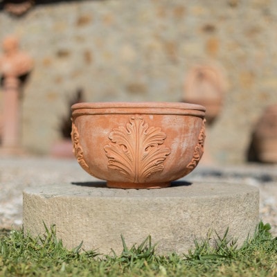 Schüssel con foglie