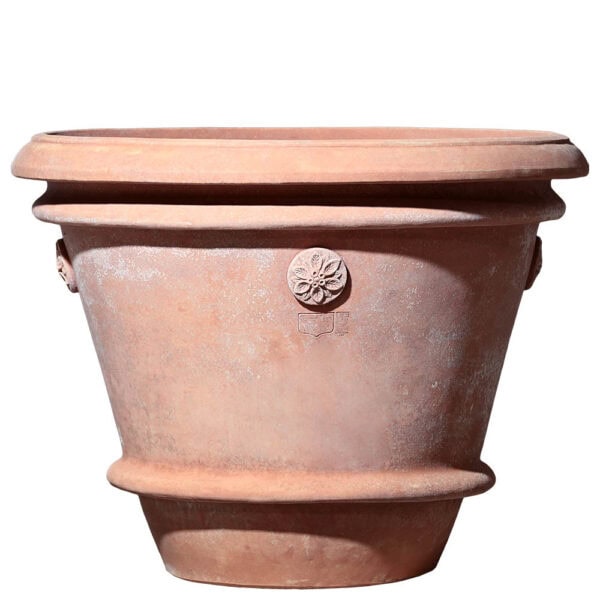 Vaso Sannini festonato