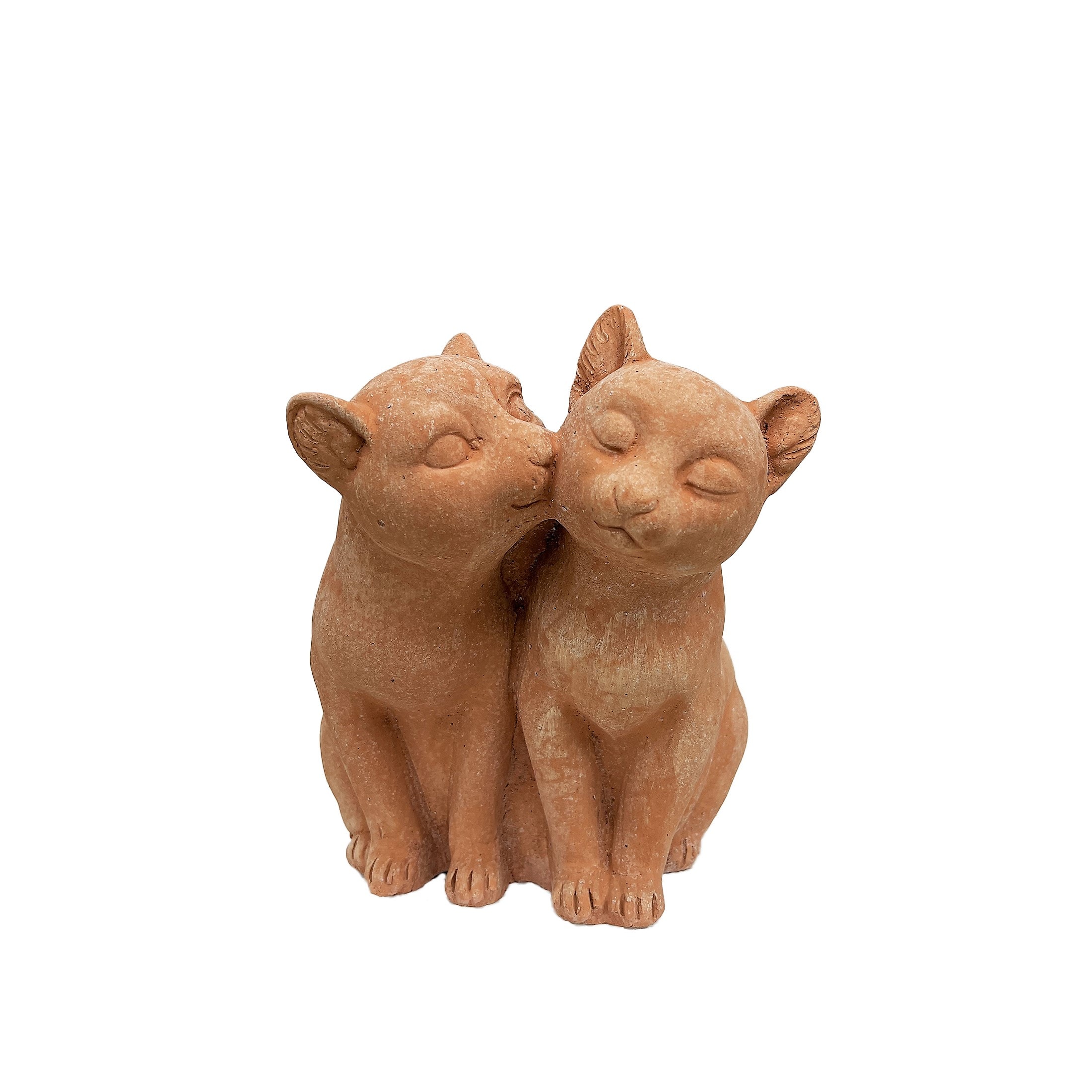 Kätzchen INNAMORATI