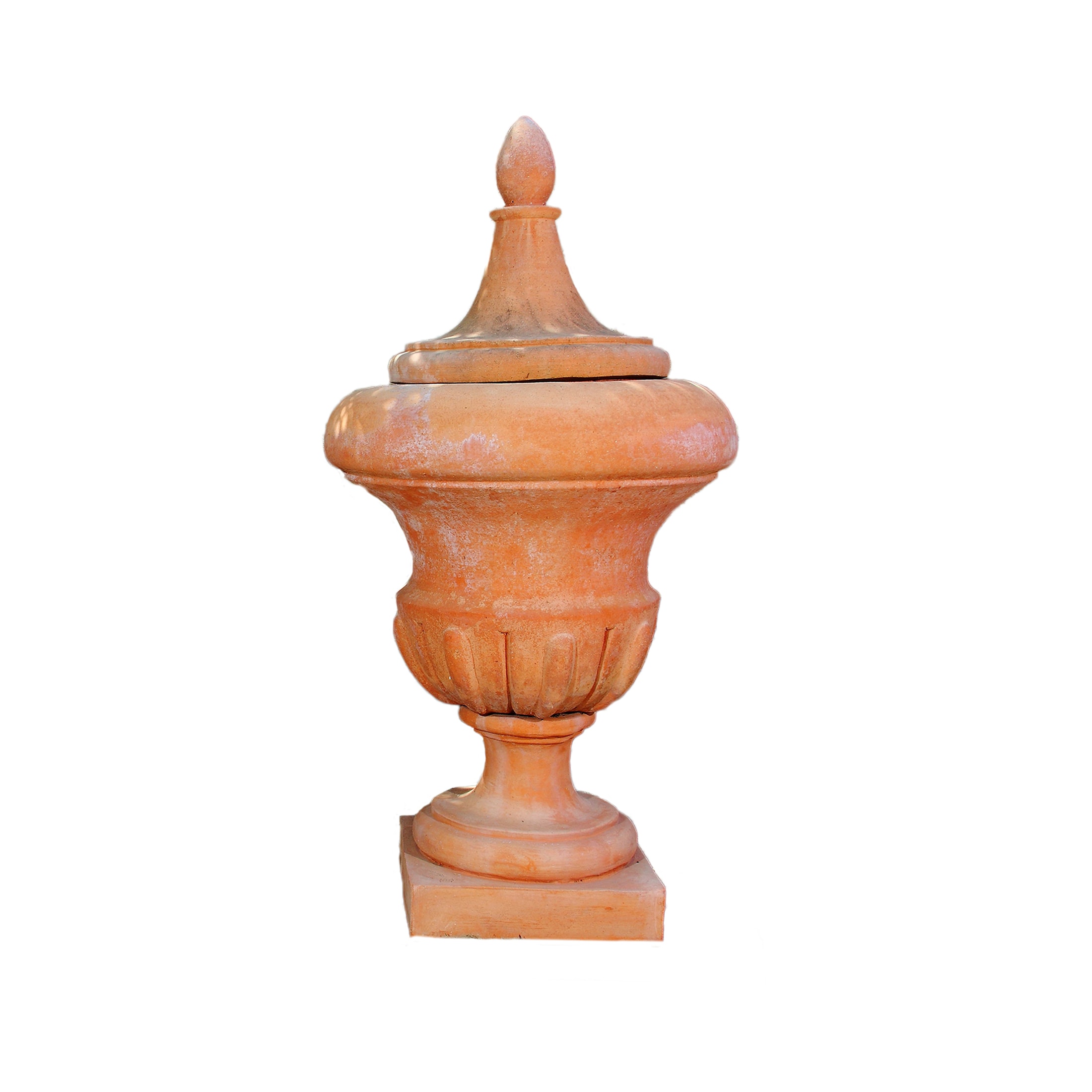 Vase LISCIO FRESCOBALDI