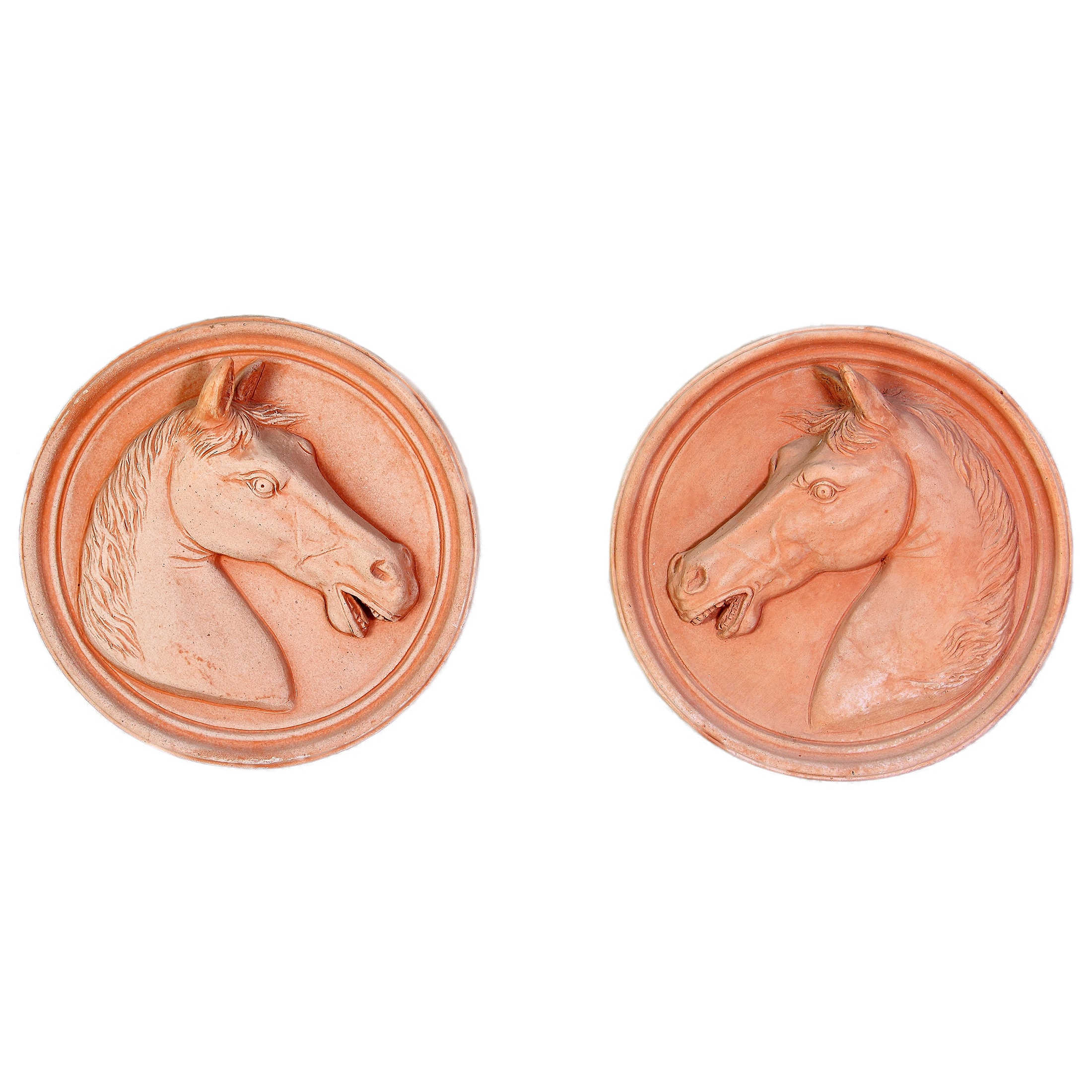 Wandpaneel TESTA CAVALLO