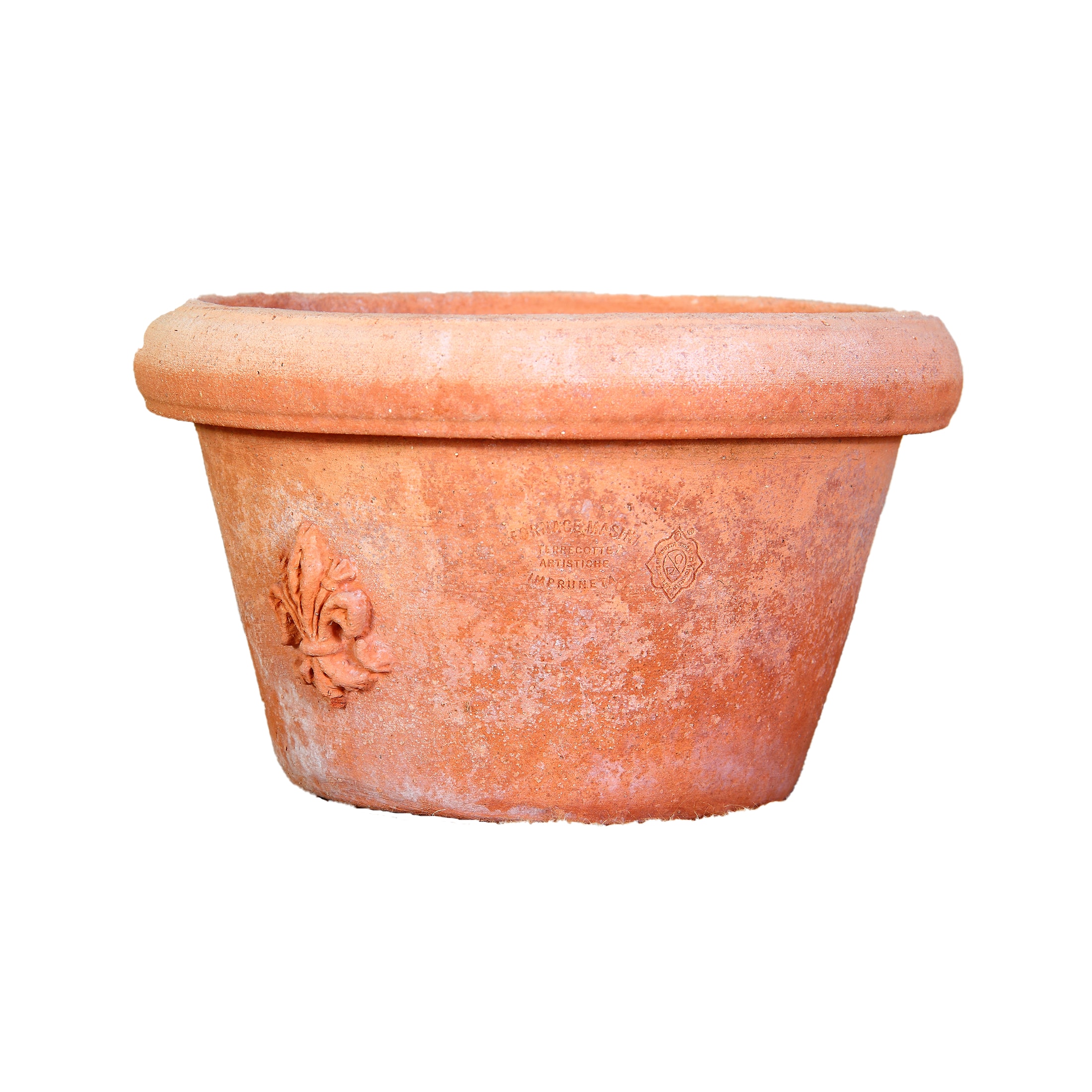 Vässchen CON GIGLIO